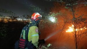 BOMBEROS CONTROLAN INCENDIO EN CERRO COLORADO Y EVITAN DESASTRE MAYOR