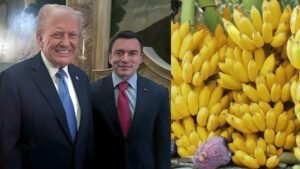 EE. UU. impulsa ajustes arancelarios en América Latina con énfasis en su cooperación con Ecuador ﻿