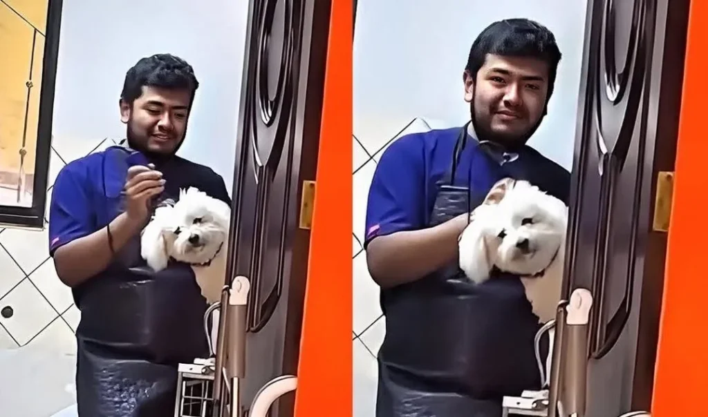 Perrito rescatado no deja de mirar a su dueño durante su primera visita a la peluquería canina