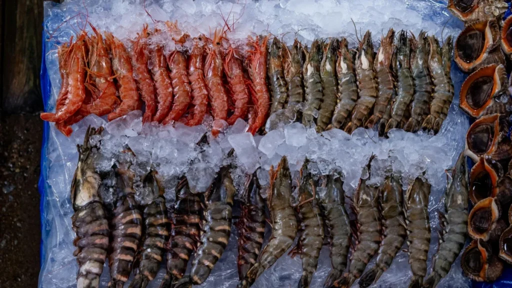 Virus marino CMNV provoca alerta por ceguera en humanos, según estudio en Nature Microbiology