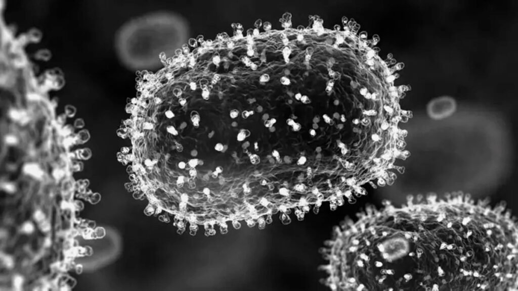 MSP confirma el primer caso de viruela símica (Mpox) en Ecuador